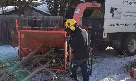 arborist using a wood chipper and truck on the job site